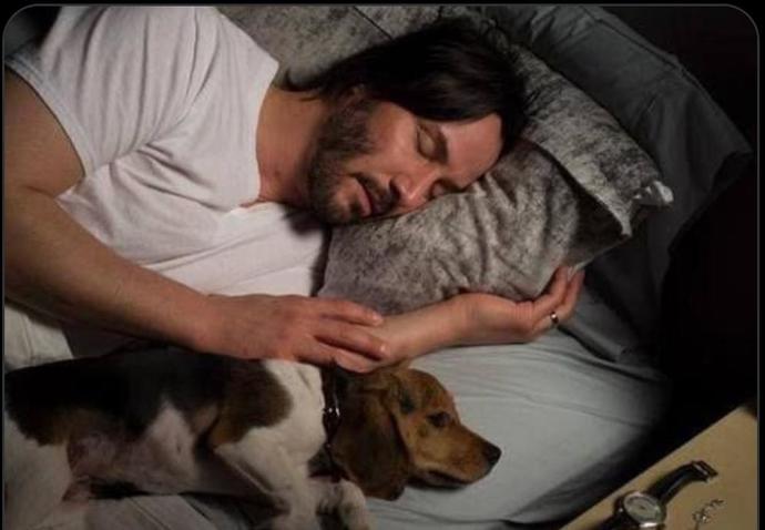 John Wick filmi basit bir senaryoyla nasıl başarılı oldu?