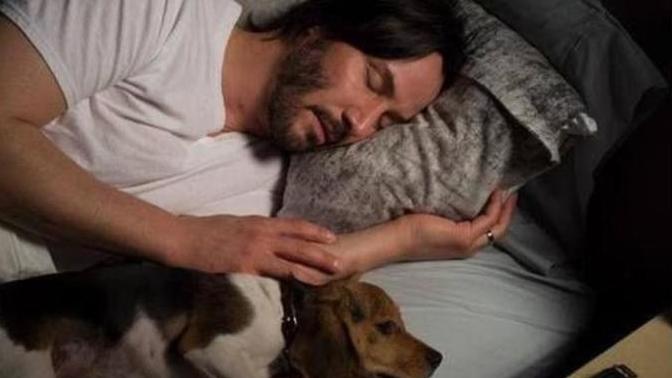 John Wick filmi basit bir senaryoyla nasıl başarılı oldu?