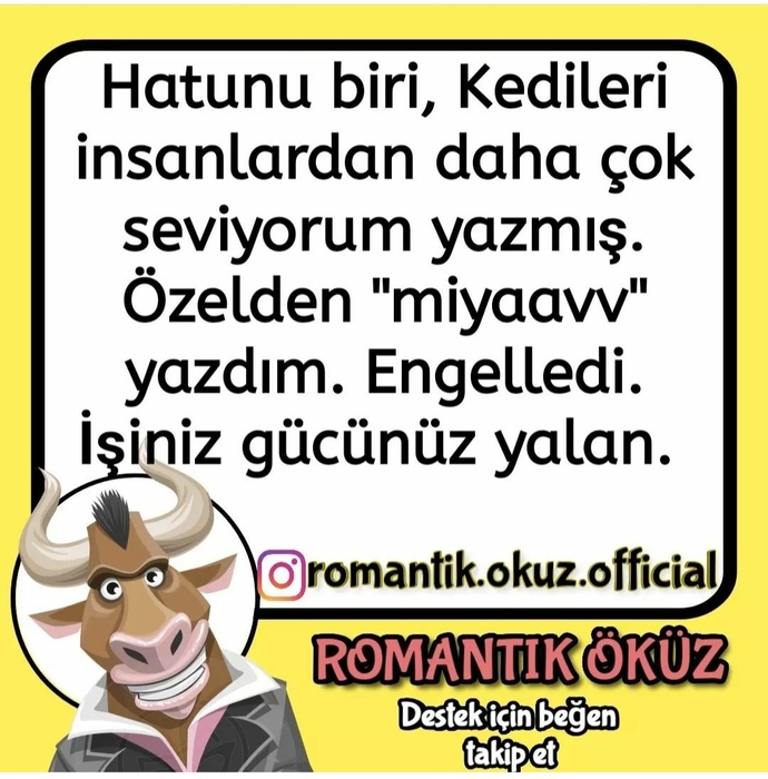 Hayvanları sevmeyen insanları sevebilir mi ☺️?