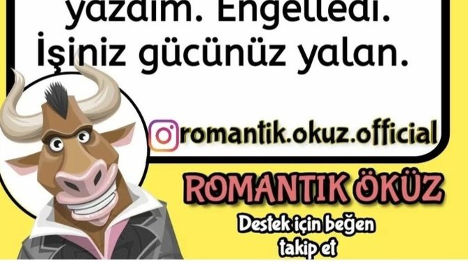 Hayvanları sevmeyen insanları sevebilir mi ☺️?