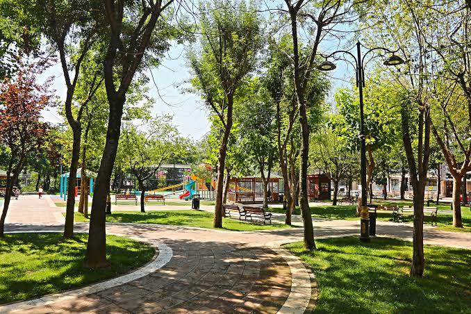 Arkadaşlarınızla parkta buluşup çekirdek çitler misiniz?