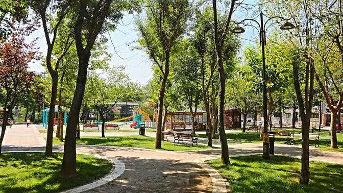 Arkadaşlarınızla parkta buluşup çekirdek çitler misiniz?