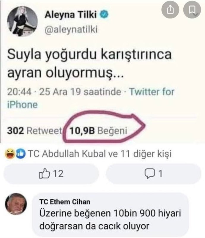 Suyla yoğurdu karıştırınca ayran mı oluyor?