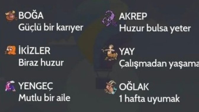 Burcuna göre hayalin nedir?