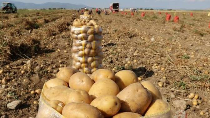 Bir ürün tarladan pazara 30 kat zamlanır mı?