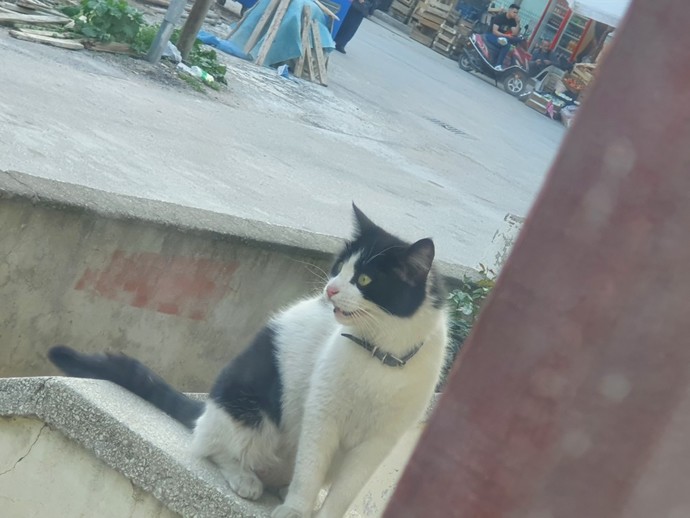 Sevimli dostlarınızı paylaşabilir misiniz?