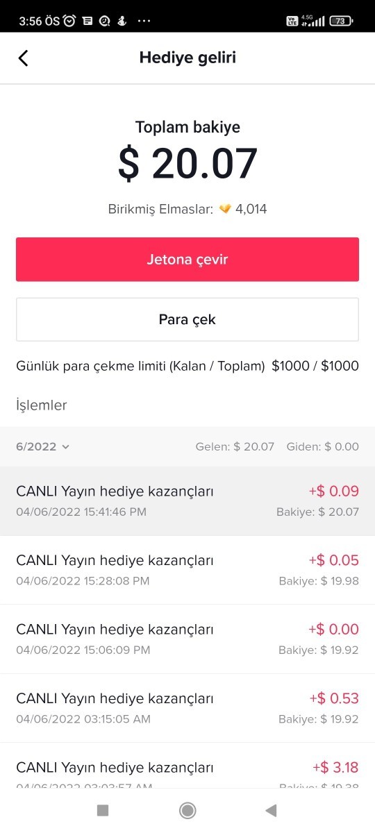 Tiktokcu olmali miyim?