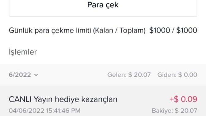 Tiktokcu olmali miyim?