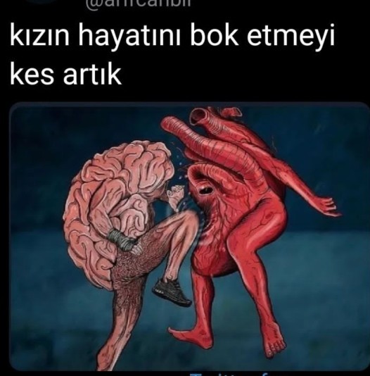 Aklınız ve kalbiniz savaşa girdiğinde kazanan kim oluyor?