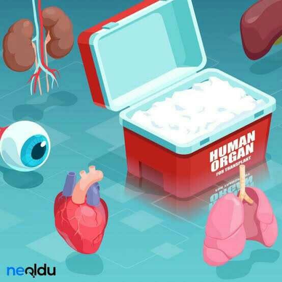 Hiç donör olmayı düşündünüz mü?