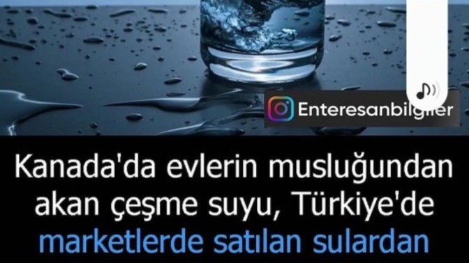 Yaşadığınız şehirde şebeke suyu mu yoksa hazır su mu içiyorsunuz?