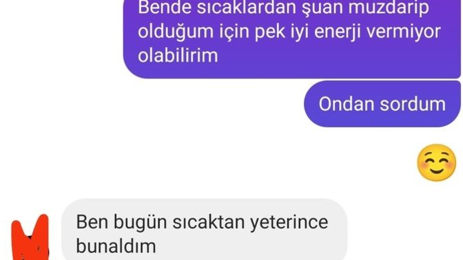 Bu kızla yeni tanıştım biraz da açıldım ne yalan söylim ama en son konuşmamız böyle geçti sizce bu kız benle konuşmak istemiyor mu?