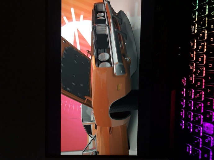 Forza horizon hatası?