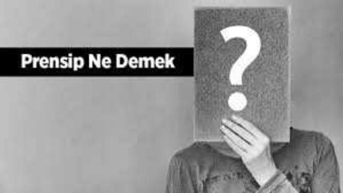 Prensip ne demektir?