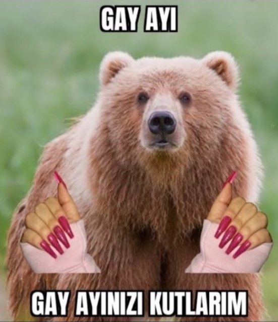 Happy pride beybiler pride kutlayan var mi burada?
