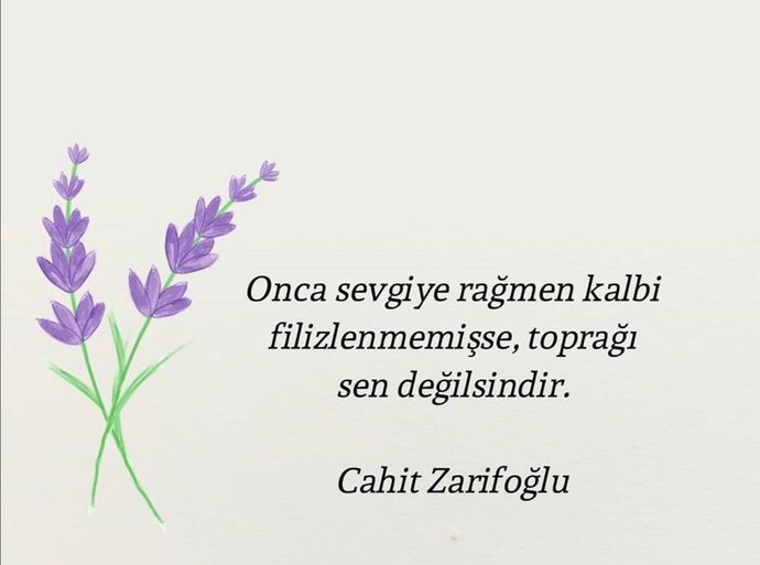 Seni sevmeyen birini sevmeye devam edebilir misin?