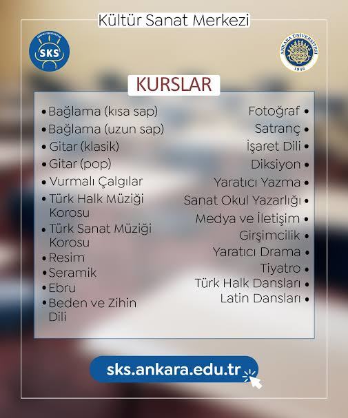 Yaz tatilinde kendinizi geliştirmek icin kurslara gider misiniz?