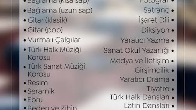 Yaz tatilinde kendinizi geliştirmek icin kurslara gider misiniz?