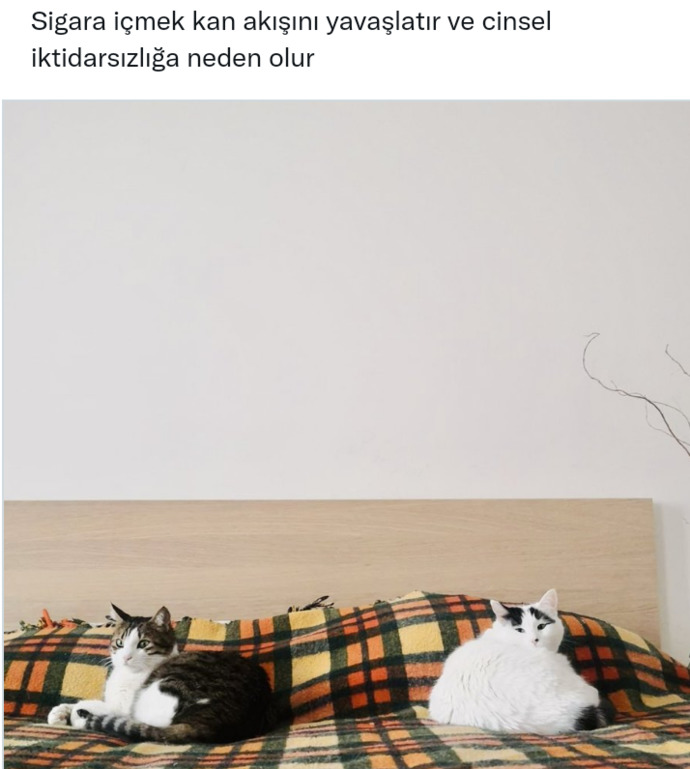 Sigarayı içine çekmeyen biri sigara bağımlısı olabilir mi?
