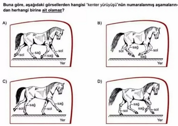 Ortaokul öğrencilerine skandal at sorusu soruldu! Siz soruyu çözebildiniz mi?