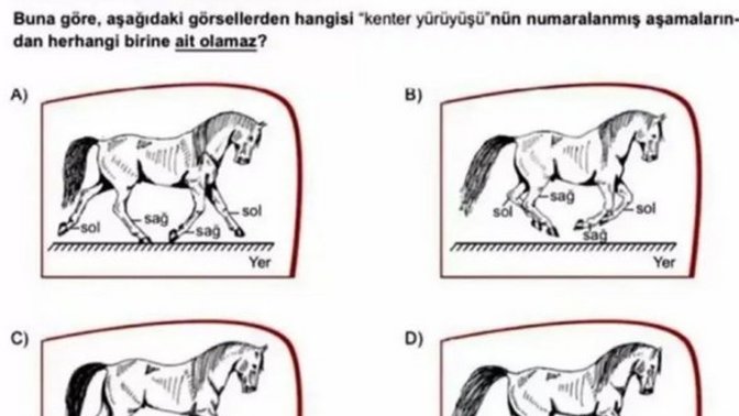 Ortaokul öğrencilerine skandal at sorusu soruldu! Siz soruyu çözebildiniz mi?