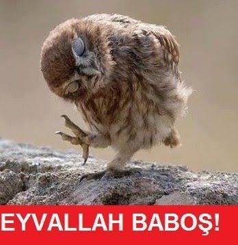 Seni seviyorum cümlesini kullanmadan sevgini nasıl belli edersin?