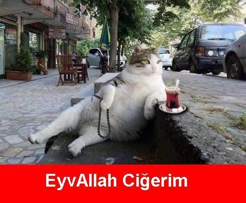 Seni seviyorum cümlesini kullanmadan sevgini nasıl belli edersin?