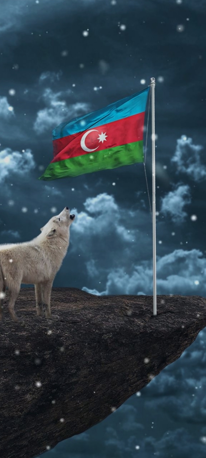 Duvar kağıdınızda ne var 🦋👀?