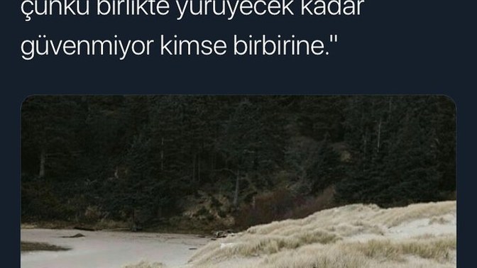 Sizce yeni nesil nereye gidiyor böyle?