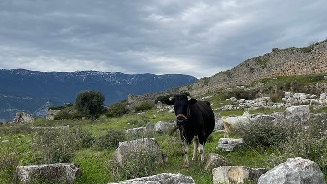 Sabahınızı güzelleştiren ne var hayatınızda?