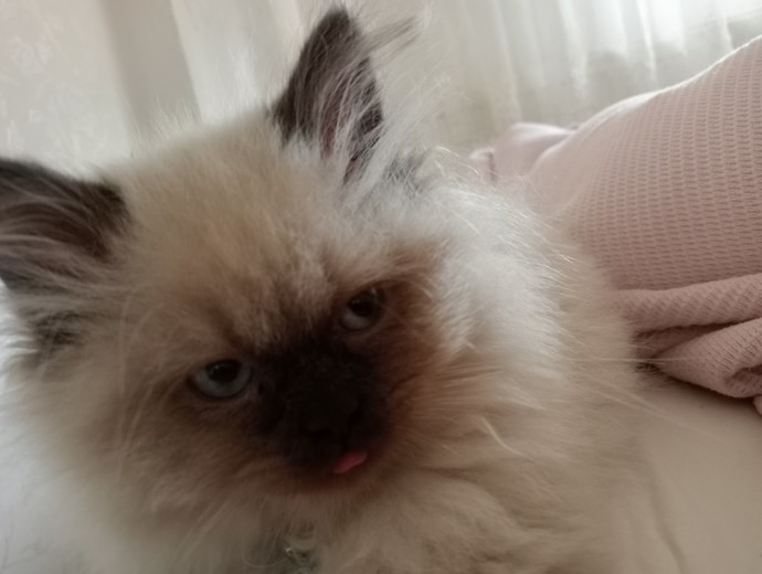 En güzel alarm bu olsa gerek, sizce?