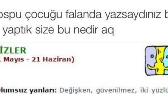 Sizce ikizler burcu almış olduğu eleştirileri hak eden burç mu?
