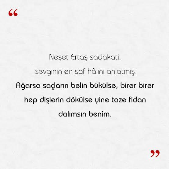 İşte mesele bu