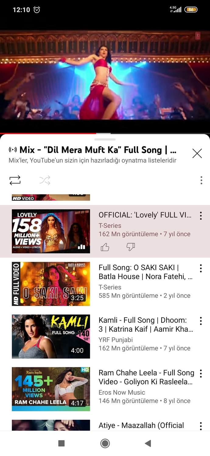 Hint şarkılarını seviyor musunuz?