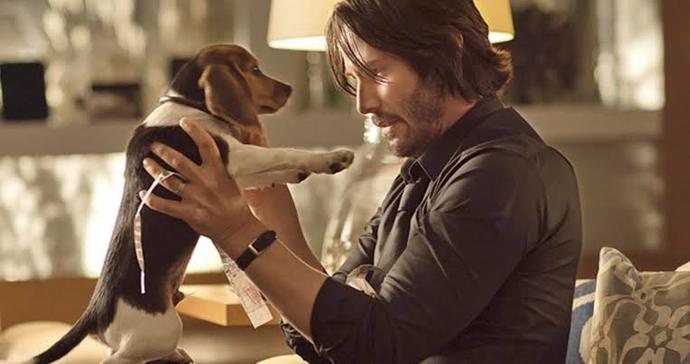 Bir kaza sonucu John Wickin köpeğini öldürseydiniz, ne yapardınız?