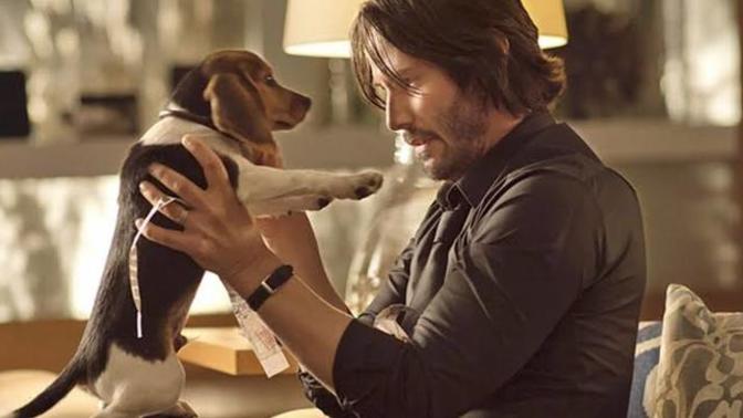 Bir kaza sonucu John Wick'in köpeğini öldürseydiniz, ne yapardınız?