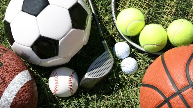 Bir spor kulübüne başkan olmak isteseydin, bu hangisi olurdu?