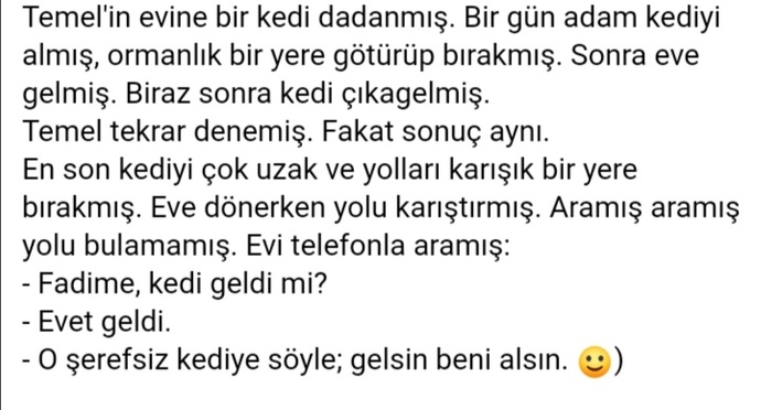Uzak yere bırakılan kedi evi bulabilir mi?