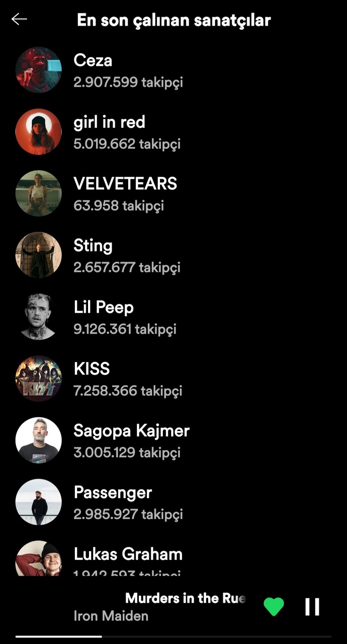 Müzik zevkimiz benzer mi?