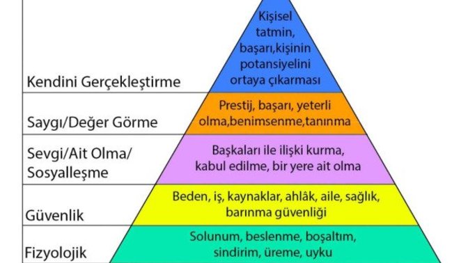 Kendinizi gerçekleştirdiğinizi düşünüyor musunuz?