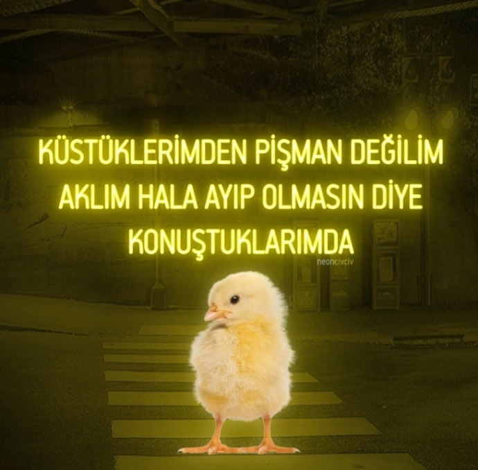 Küs olduğunuz kimse var mı?