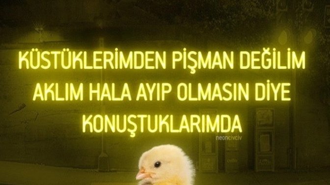 Küs olduğunuz kimse var mı?