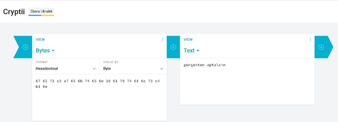 Merhaba sizce burada ne yazıyor veya hangi kodlama şekli bu?
