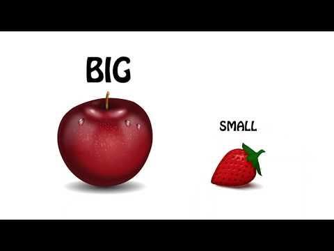 Ufak ve büyük penisli kişilerden hangisini seçerdiniz?