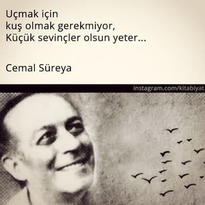 🕊🕊🕊