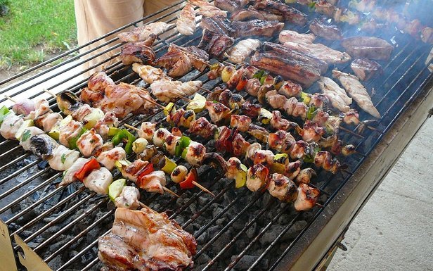 Mangal sever misiniz?