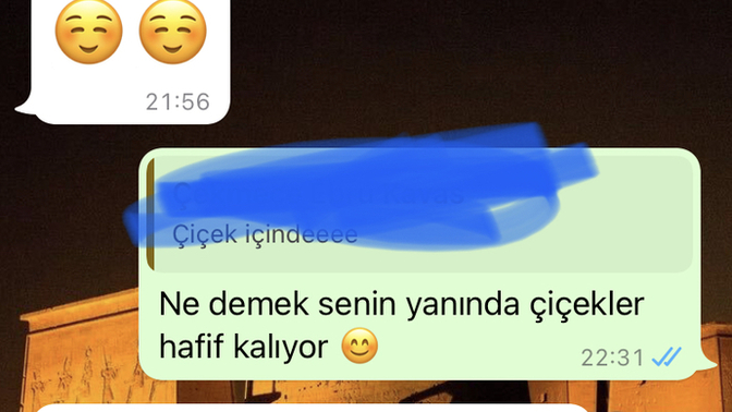 Hoşlandıgım kız çiçek için çok teşekkür etti kız ne hissediyor bana karşı?