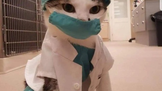 Kimler hala maske takiyor?