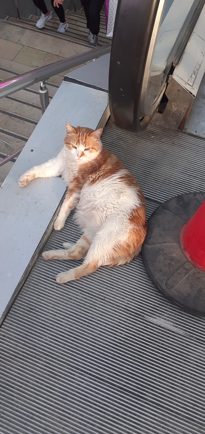 Çoooooook tatlııı 🤗