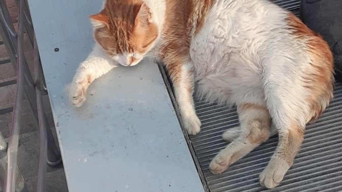 Dinlenmek için neler yapıyorsunuz?